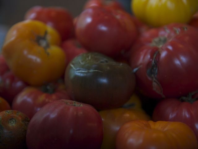 Tomatoes 1 790 xxx