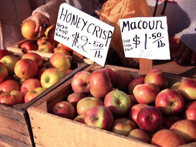 Apples in crates 790 xxx