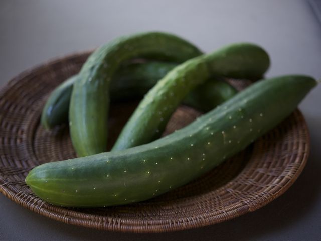 Cucumbers 790 xxx