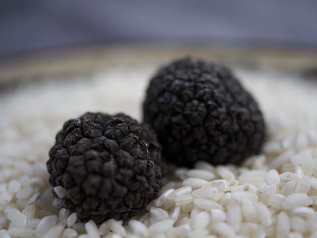 Black truffle 790 xxx