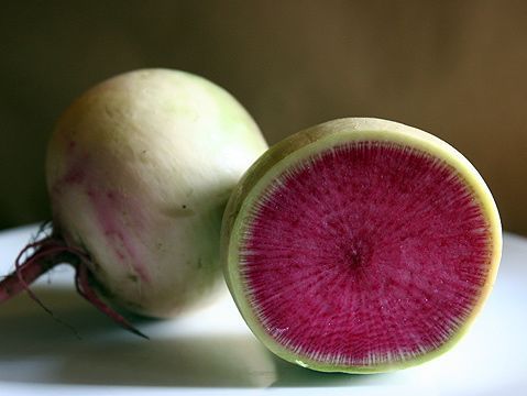 Radishes 790 xxx