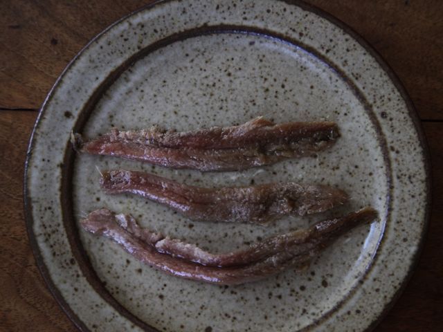 Anchovies 790 xxx